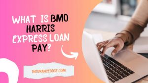 what is bmo harris express loan pay